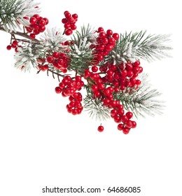 Christmas Fir Branch With Red Berries