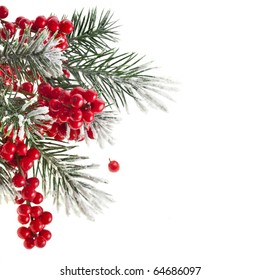 Christmas Fir Twig With Red Berries Card With Copy Space Isolated On White