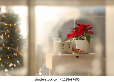 Christmas flower poinsettia with cookies and glass of milk on wooden table
