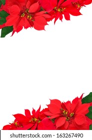 christmas frame from poinsettias isolated on white 