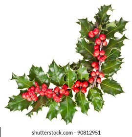  Christmas Garland Of European Holly Ilex Corner Border Close Up Isolated On White