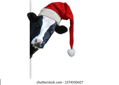 2,986 Cow santa hat Images, Stock Photos & Vectors | Shutterstock