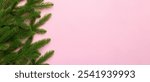 Christmas holiday background with copy space for advertising text. Fir branches on color background . Flat lay, top view.