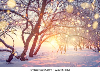 Christmas holiday background. Winter nature landscape in shining bokeh - Shutterstock ID 1223964832
