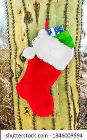 A Christmas Holiday Stocking Stuffed With Presents Hanging On A Cactus In The Southwest.