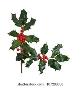 Christmas Holly branches, leaves and berries in a corner or border design item isolated on a white background.