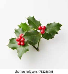 Christmas Holly With Red Berries. Traditional festive decoration.  - Shutterstock ID 752288965