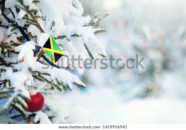 Christmas Jamaica Xmas Tree Covered Snow Stock Photo Edit Now