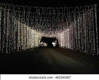 Christmas Light Tunnel