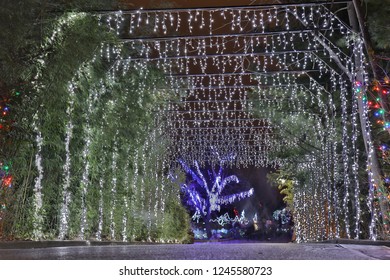 Christmas Light Walkway At The Cincinnati, OH Zoo.