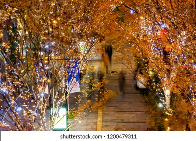 Christmas Lighting Arrangement On The Streets Of Osaka, Japan
