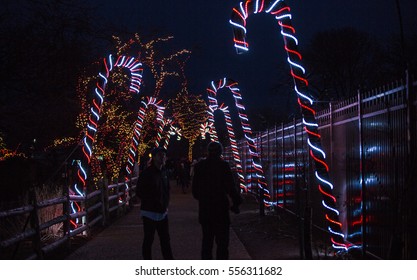 Christmas Lights At Chicago Zoo