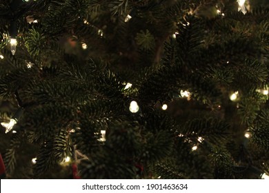 Christmas lights hanging in the tree