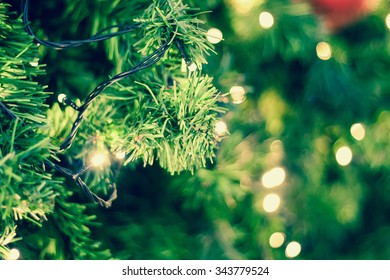 Christmas Lights Hanging In A Tree