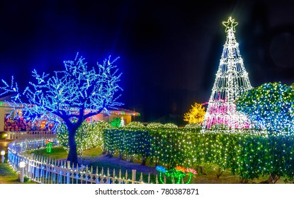 Christmas Lights At Night In The Caribbean, Grand Cayman, Cayman Islands