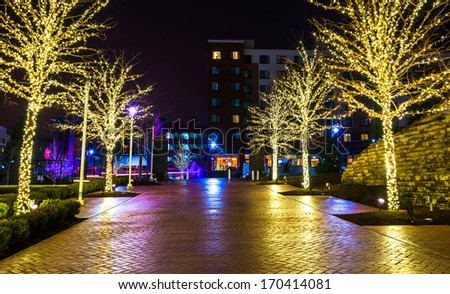 Christmas lights on trees along a path in National Harbor, Maryland at night.