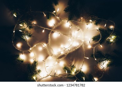 Christmas lights over dark background with fir branches around. Top view