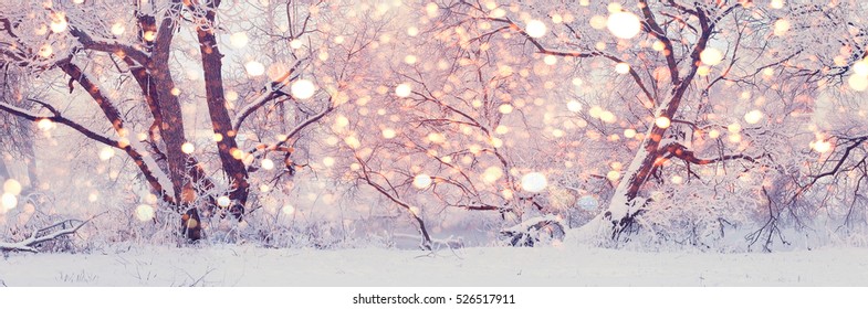 Christmas Morning In Central Park. Snowy Winter Background. Christmas Lights On Winter Backdrop.