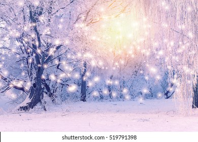 Winter Wonderland Images Stock Photos Vectors Shutterstock