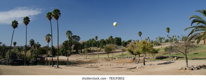 Christmas Morning In Safari Park In Southern California, Near San Diego