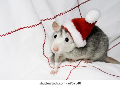 The Christmas Mouse