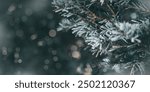 Christmas, New Year winter holidays natural banner, dark teal Pine tree branches covered frost, nature scenery with blurred background, snow-covered fir needles close-up, soft focus, bokeh, copy space