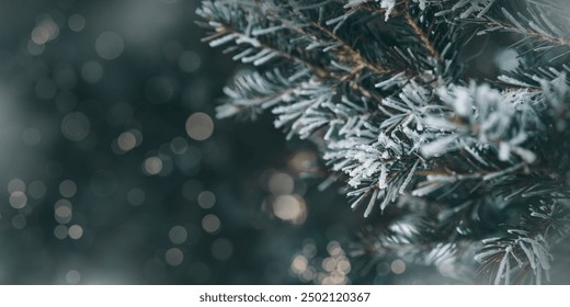 Christmas, New Year winter holidays natural banner, dark teal Pine tree branches covered frost, nature scenery with blurred background, snow-covered fir needles close-up, soft focus, bokeh, copy space - Powered by Shutterstock