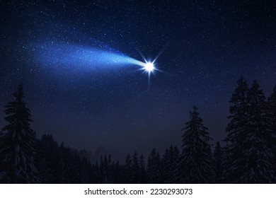 Christmas night. The first star lit up in the winter forest with snow and the night starry sky. Christmas Eve concept. Comet falls in the starry night sky - Powered by Shutterstock