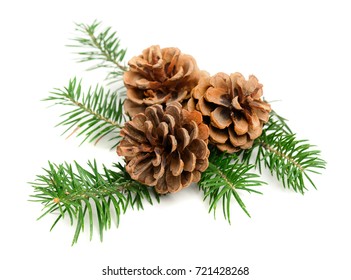 Christmas Pine Cones With Branch On A White Background. Decorate Element