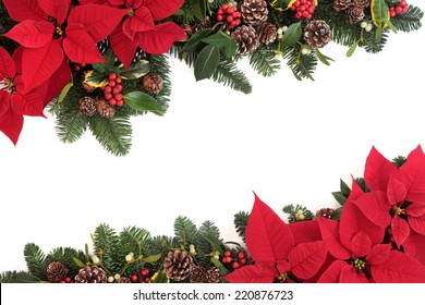 Christmas poinsettia flower background border with holly, ivy, mistletoe, pine cones and fir leaf sprigs over white.