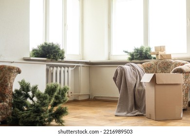 christmas preparation process, branches of christmas tree. Christmas preparations.