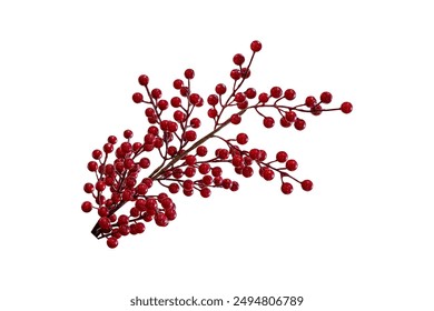 Christmas red berries with branch isolated on a white background with clipping path. Beautiful red berry on branch for decoration. - Powered by Shutterstock