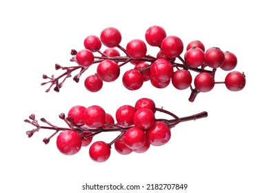 Christmas red berries isolated on white background, Christmas traditional decor - Powered by Shutterstock