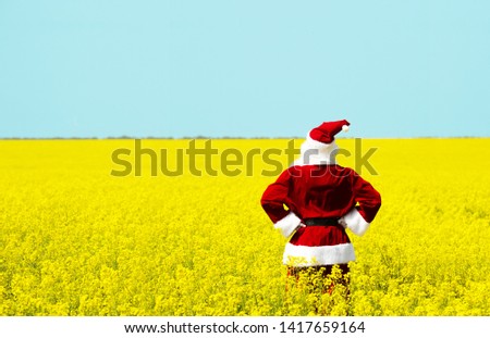 Christmas Santa Claus  in blooming yellow field. Spring vacation concept.