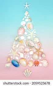 Christmas sea shell tree concept shape for alternative southern hemisphere design  Creative abstract composition gradient pastel pink   blue background  Flat lay  top view 
