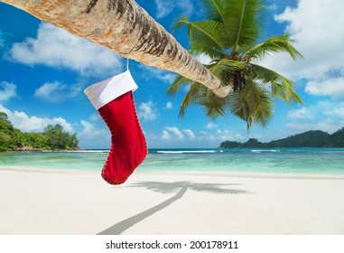 Christmas Sock On Palm Tree At Exotic Tropical Beach. Holiday Concept For New Years Cards.