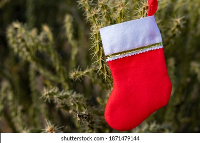 Christmas Stocking Hanging In The Desert With Cholla And Saguaro Cactus