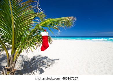 Christmas Stocking Hanging On Coconut Palm Tree Leaf At Tropical Sandy Beach. New Year Celebration 
