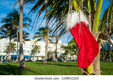 Christmas Stocking Hanging From Palm Tree In Front Of Bright Tropical Holiday Scene In South Beach, Miami, Florida, USA