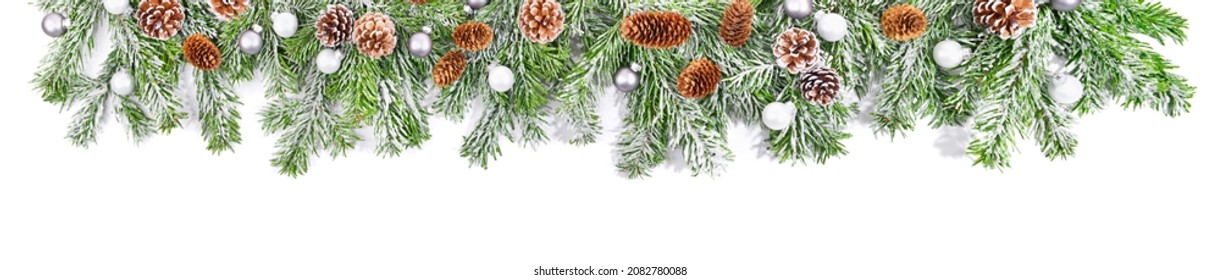 Christmas Super Wide Panorama. Fir Branches with Snow isolated on white Background.