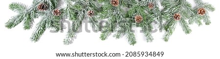 Christmas Super Wide Panorama with Fir Branches and Snow. Banner isolated on white Background.