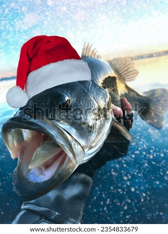 A Christmas themed bass fishing photo