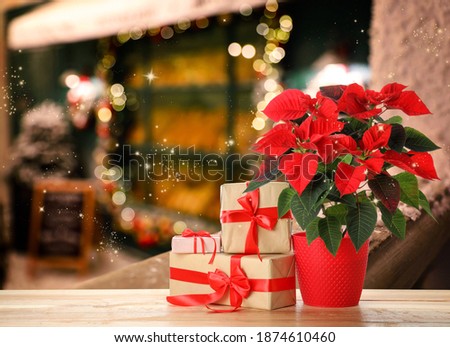 Christmas traditional poinsettia flower and gift boxes on wooden table on blurred background, space for text