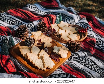 Christmas treats on picnic blanket - Shutterstock ID 2238320947