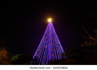 Christmas Tree In Austin, Texas.