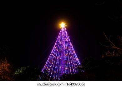 A Christmas Tree In Austin, Texas. 