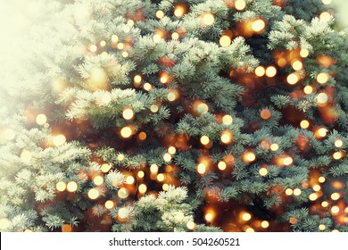  Christmas tree background.