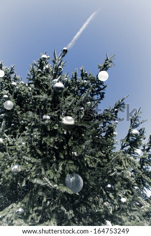 Similar – Oh Tannenbaum Natur Baum