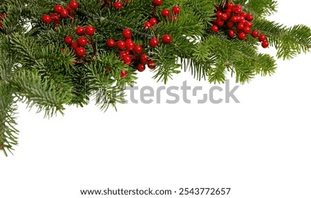 Christmas tree border and red berries decoration isolated on white, Xmas holiday season garland