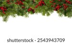 Christmas tree border and red holly berries decoration isolated on white, Xmas festive garland, top view